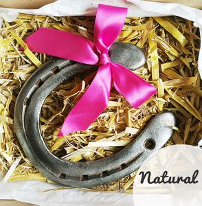 Home Sweet Home Present - Horseshoe Gift For Family